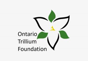 Ontario Trillium scholarship program
